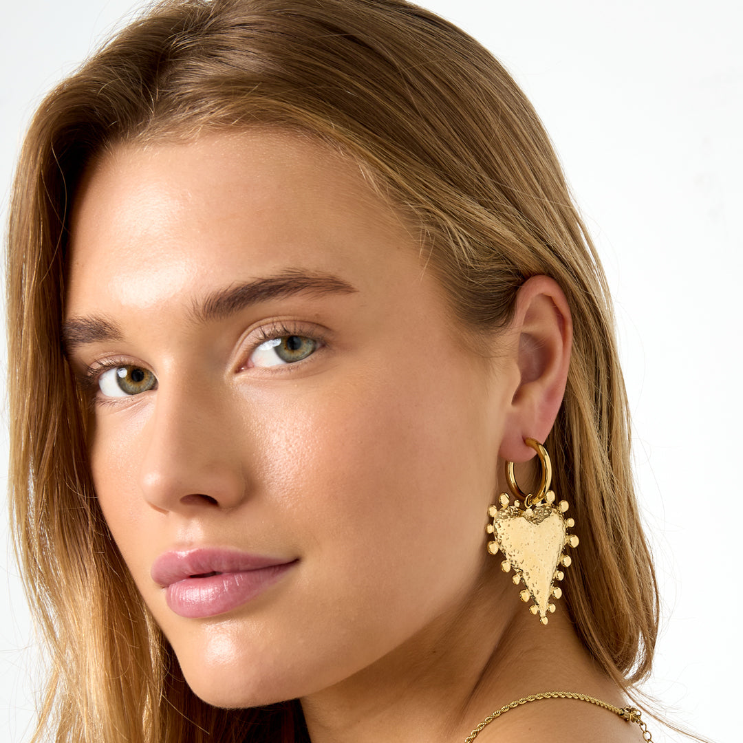 Stainless Steel Drop Earrings Heart Casual Daily Simple Series Women's jewelry