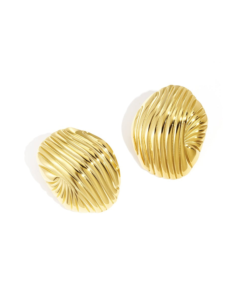 Stainless Steel Stud Earrings irregular shape Casual Daily Simple Series Women's jewelry