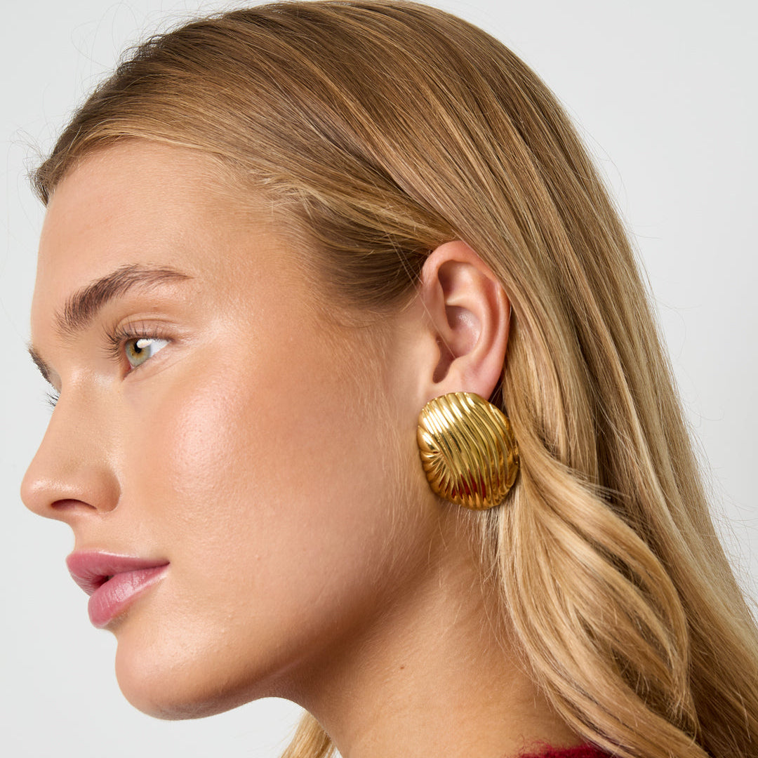 Stainless Steel Stud Earrings irregular shape Casual Daily Simple Series Women's jewelry