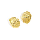 Stainless Steel Stud Earrings irregular shape Casual Daily Simple Series Women's jewelry